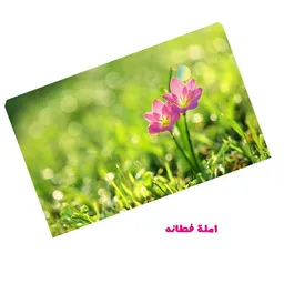imla-iim