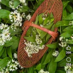 imtiaz1234