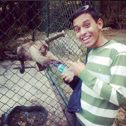 ismael28