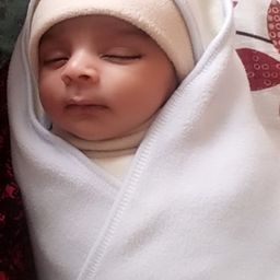itsmeshahheer