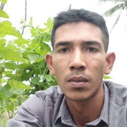 jamalis