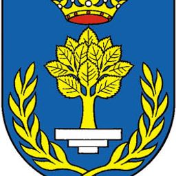 johannes-bries