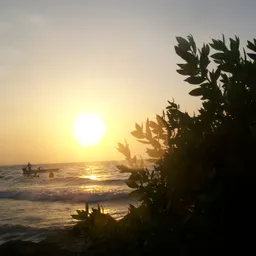 juanchoman