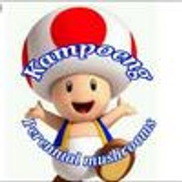 kampoengbalada