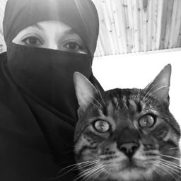 kat033