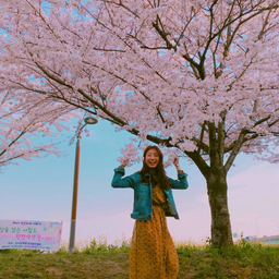 kimkwangjim