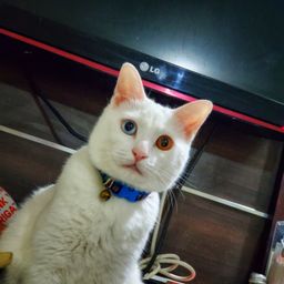 kristianto.jrm