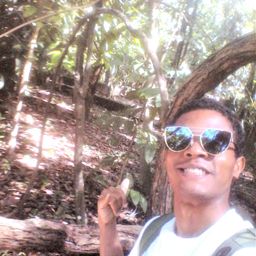 kzmzjss