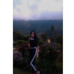 lauutorrez