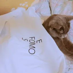 leafcat