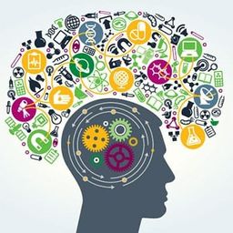 learneverything
