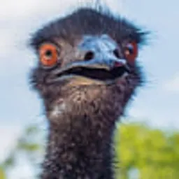 lennonk