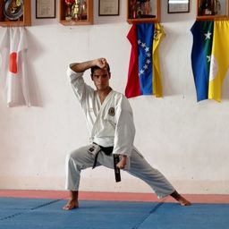 leo.sensei