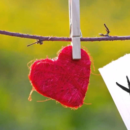 lovehappywant