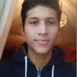 luisdam