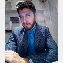 luismezaam