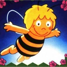 majka