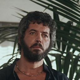 manuelfantoni