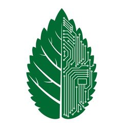 marcinsteem