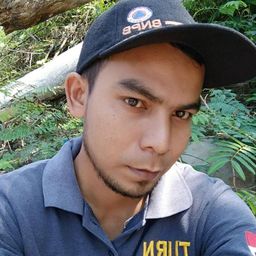 marmut