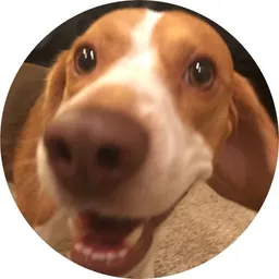 maxrd