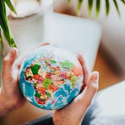 mehdisteemit