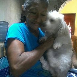 meudyhive