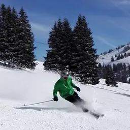 michalecki