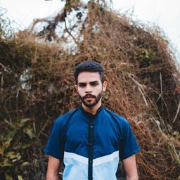 miguelroa