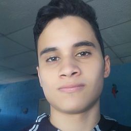 mikeleonett
