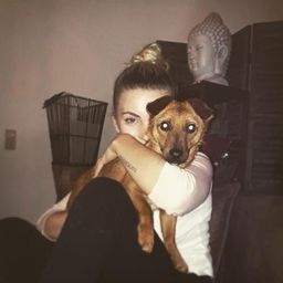 mikisplace