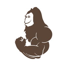 misterraw