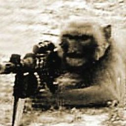 monkeymachine