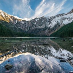 montanaslim