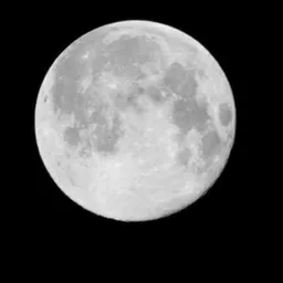 moontrap