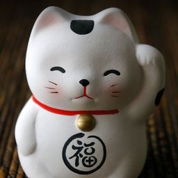 morimoritanbo