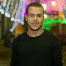 mostafa.amin
