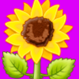 msocarras