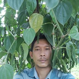 mulyadiladaaceh