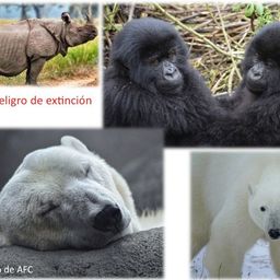 mundodelcine