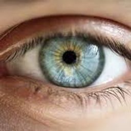 myvision