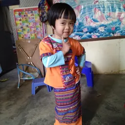 nandarlin