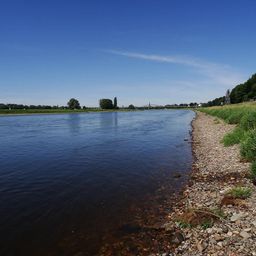 natur.filmer