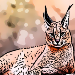 ncaracal