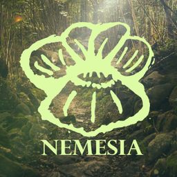 nemesia