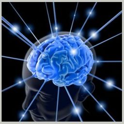 neuroevolution