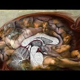 newbrain