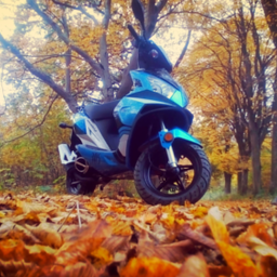 nikodem239