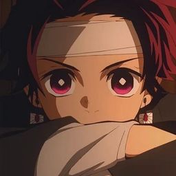 ninenarci
