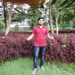 nivinstark